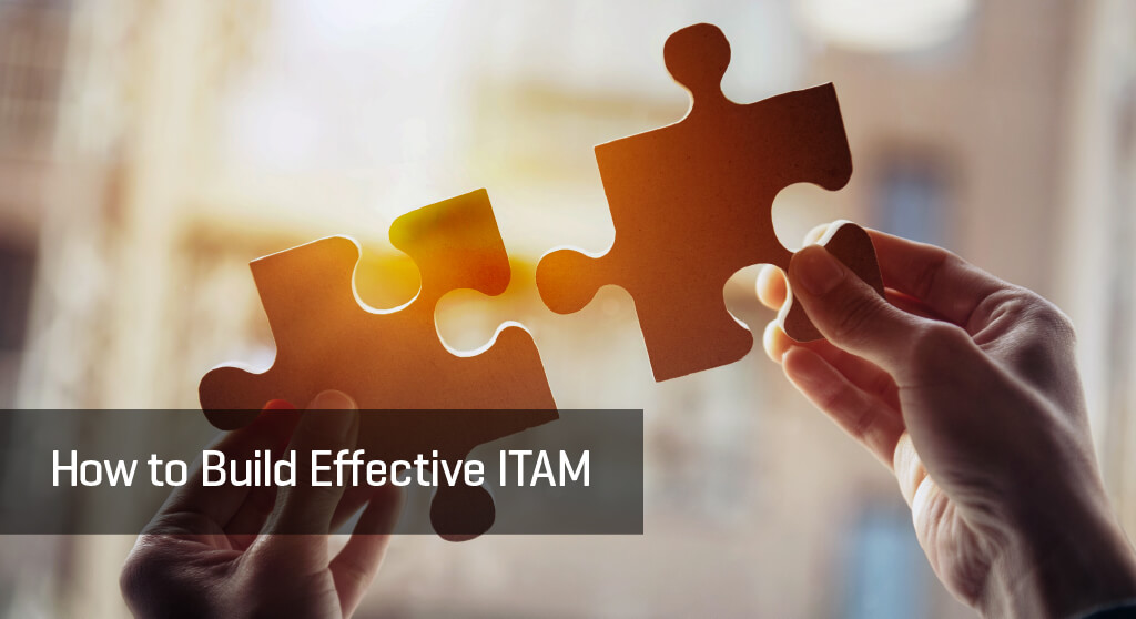 An effective ITAM program